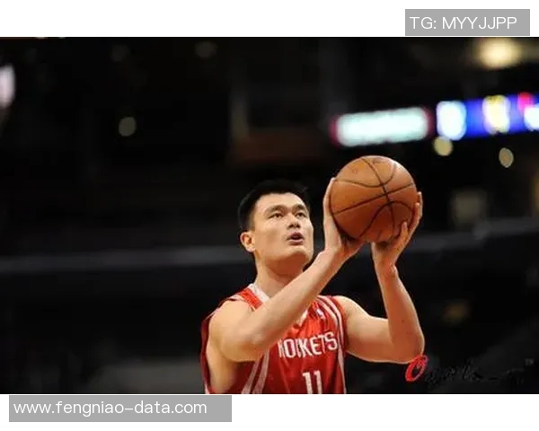 姚明职业生涯初期精彩瞬间回顾与成就展示